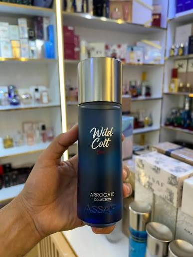 Assaf-Wild colt Boss